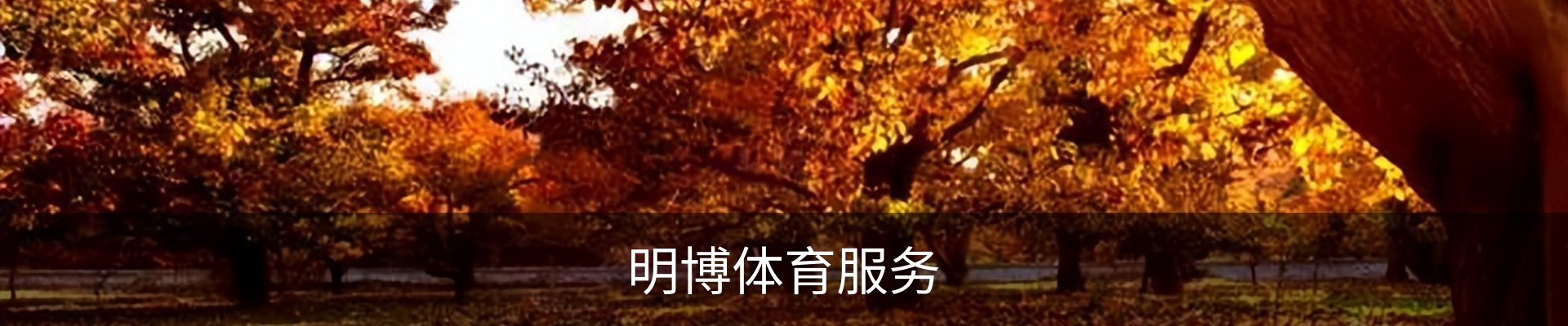 明博体育服务